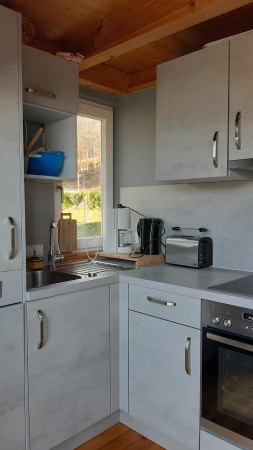 Traumhafte Ferienwohnung Mit Pool Steinen  Exterior foto